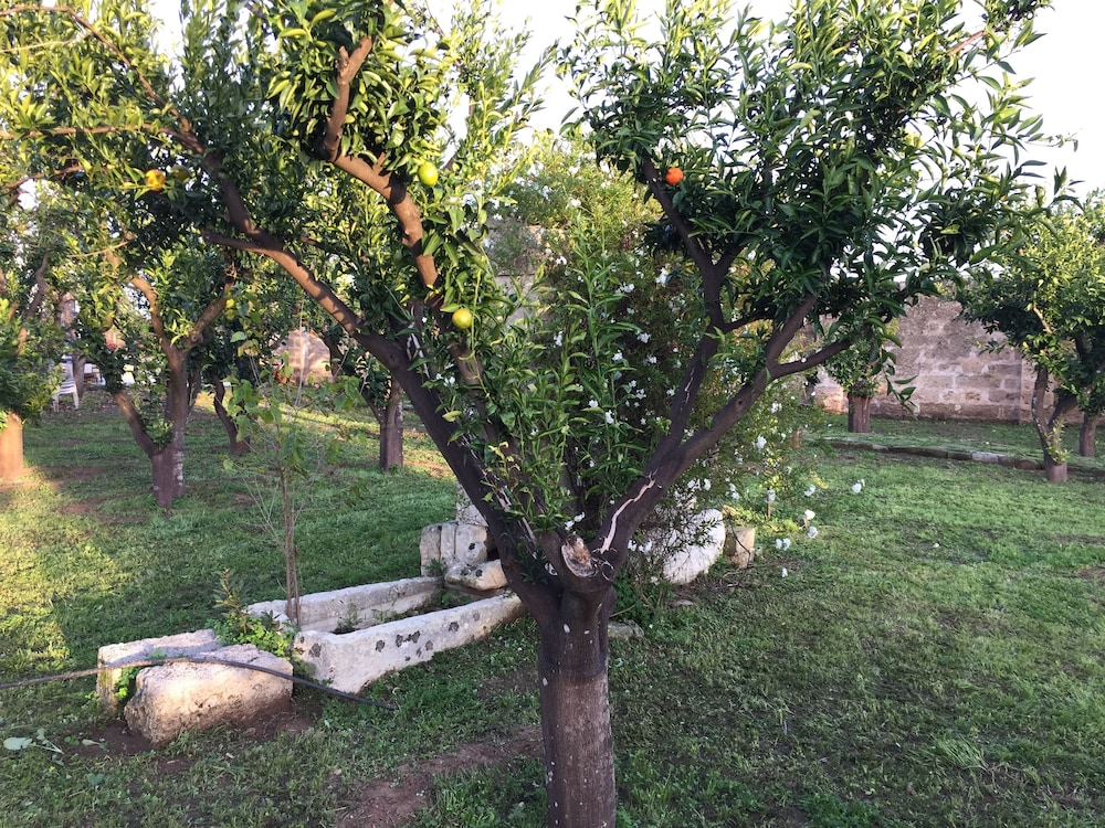 Agriturismo Arangea 29/42