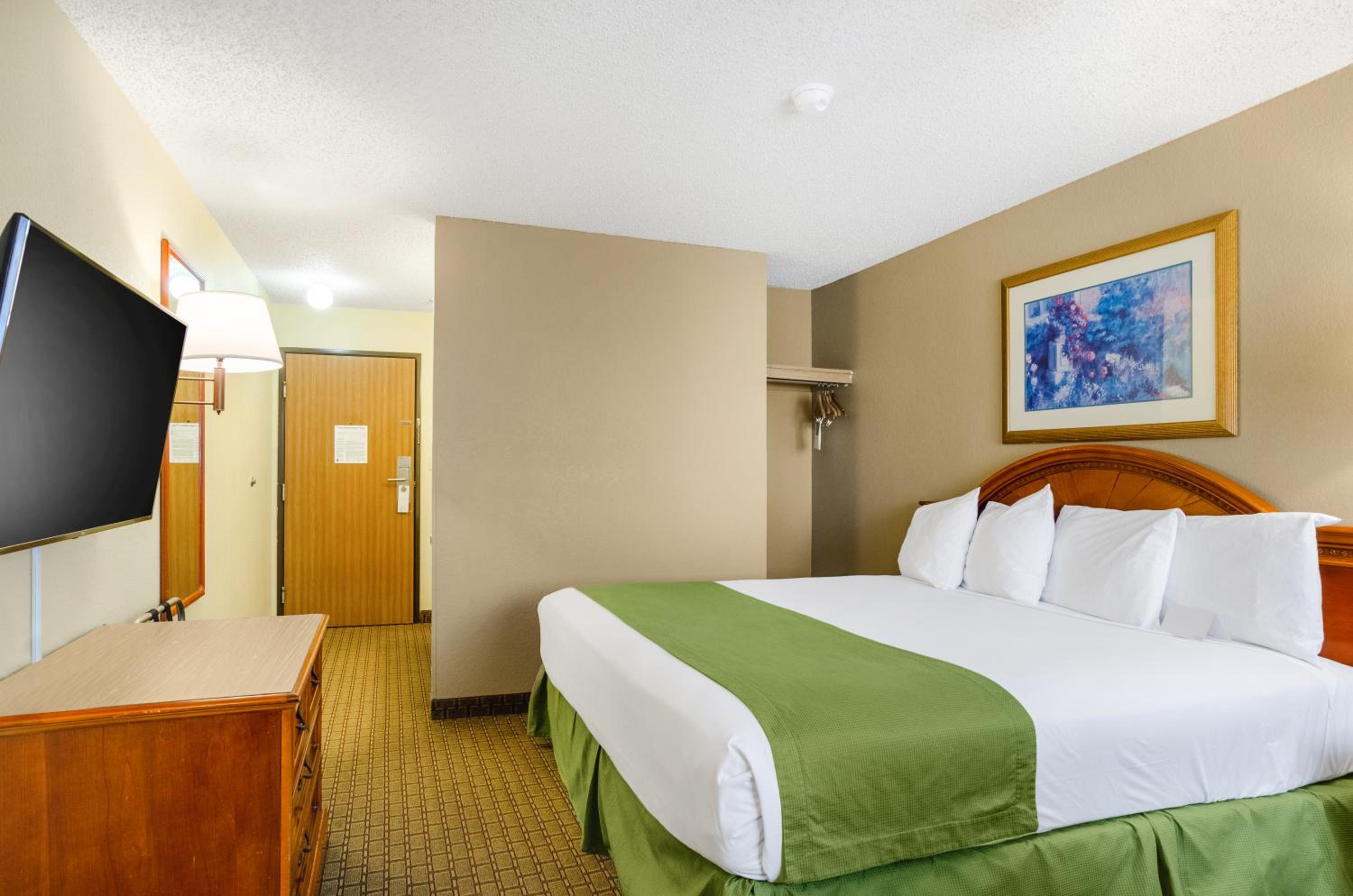 Suite, King Bed