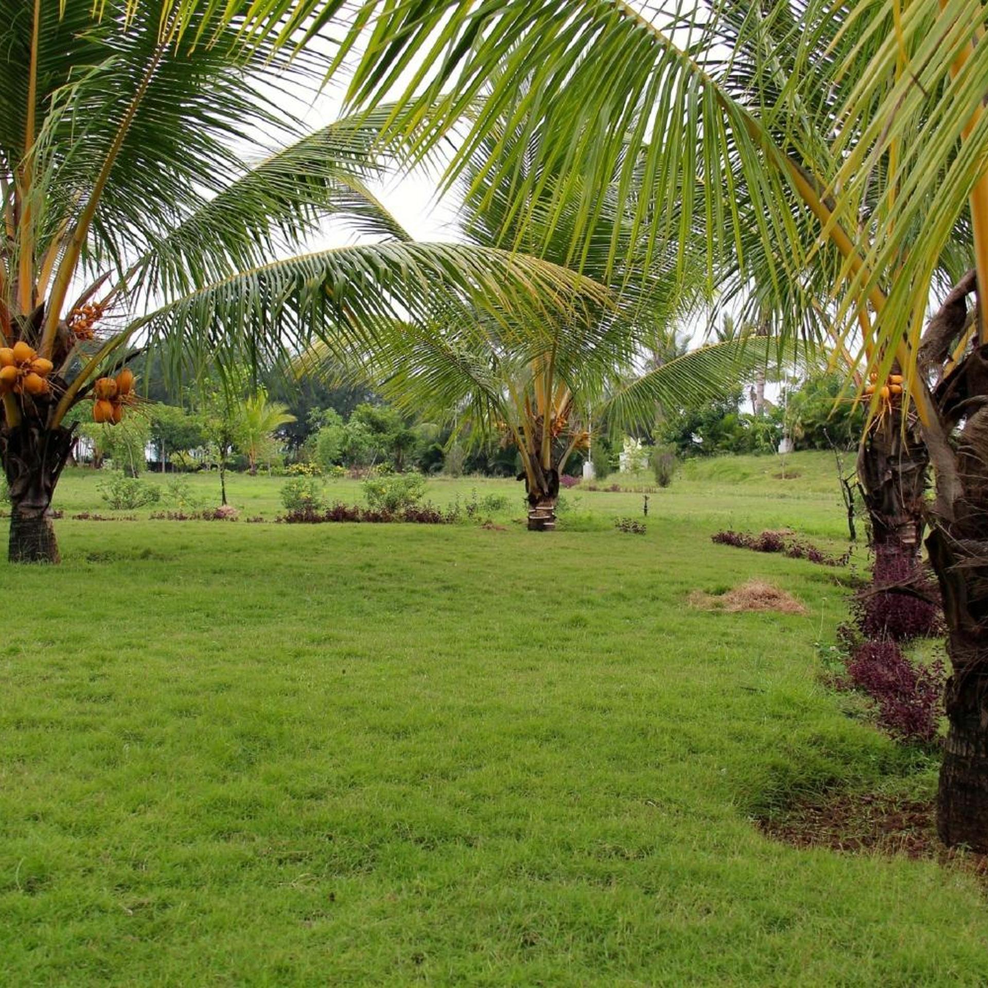 Grande Bay Resort And Spa Mamallapuram 44/52