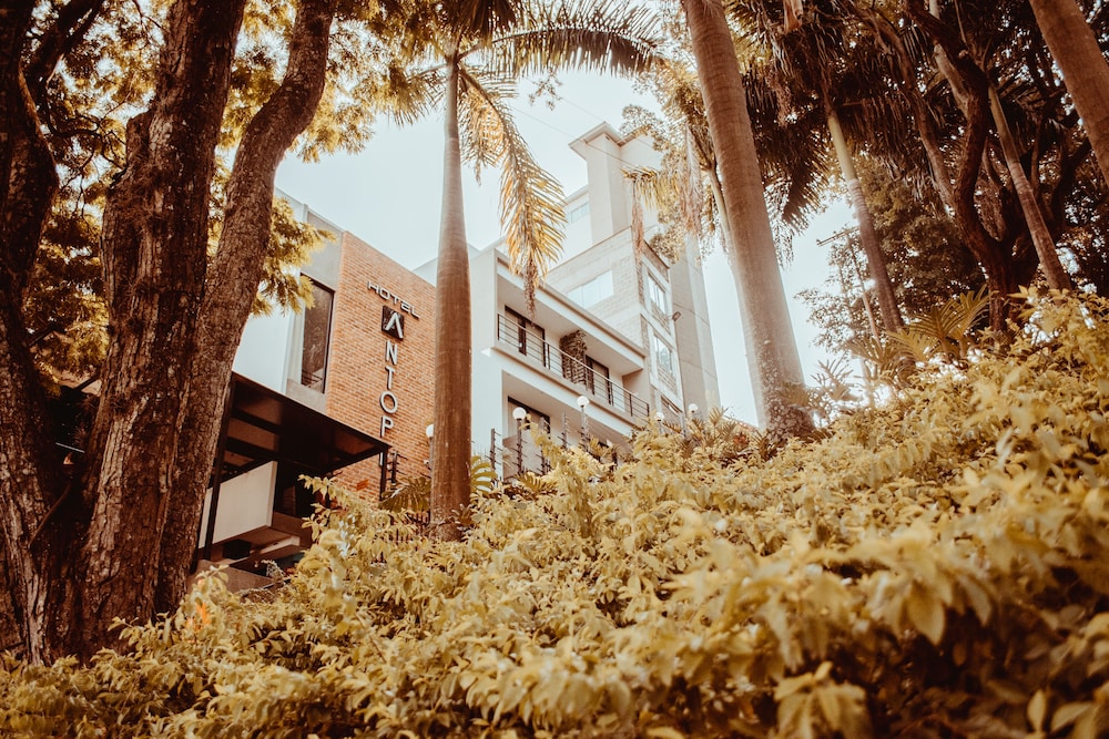 Hotel Antope 46/55
