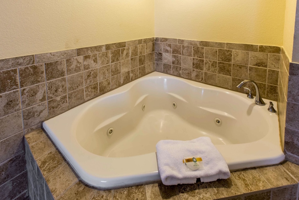 Quality Inn West Of Asheville 19/38
