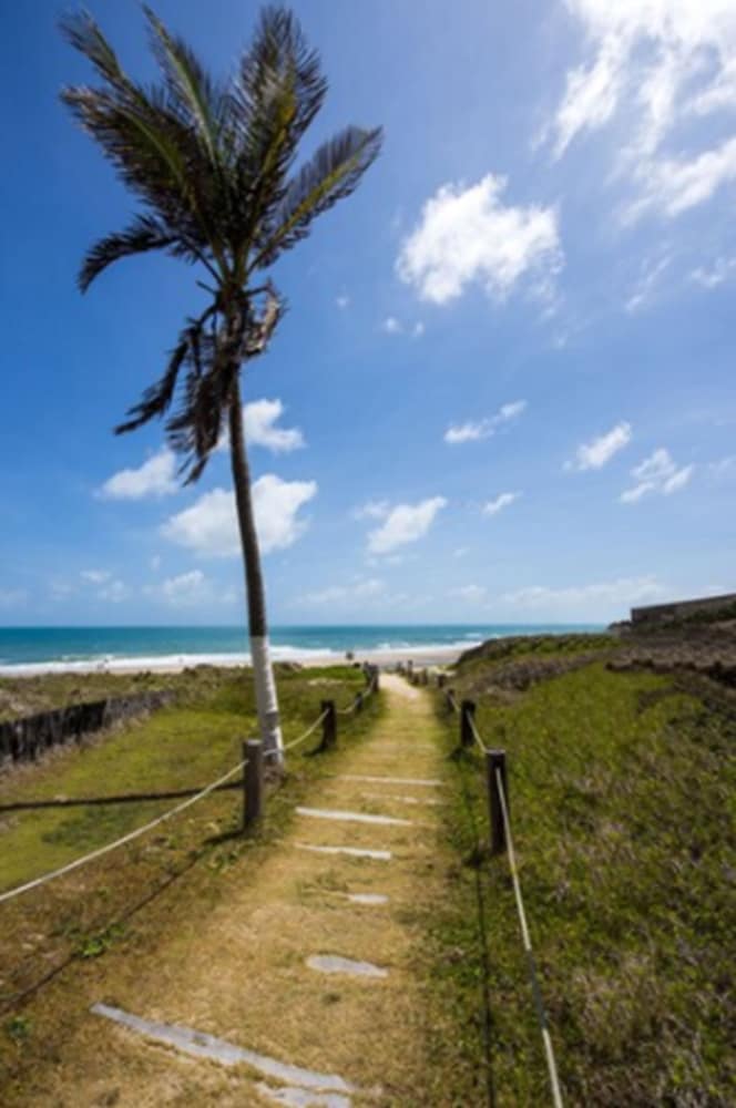 Coliseum Beach Resort All Inclusive 38/44