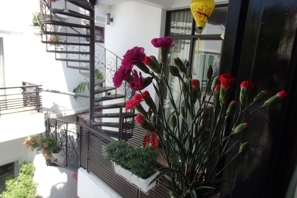 Anh Family Homestay 51/67