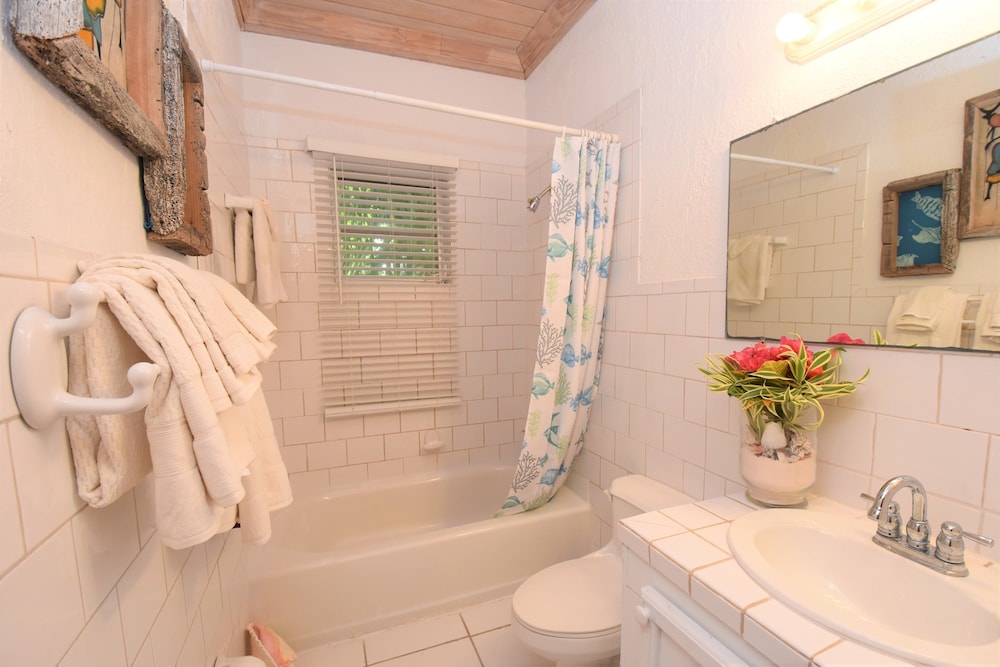 THE SUGAR APPLE BED AND BREAKFAST 42/50