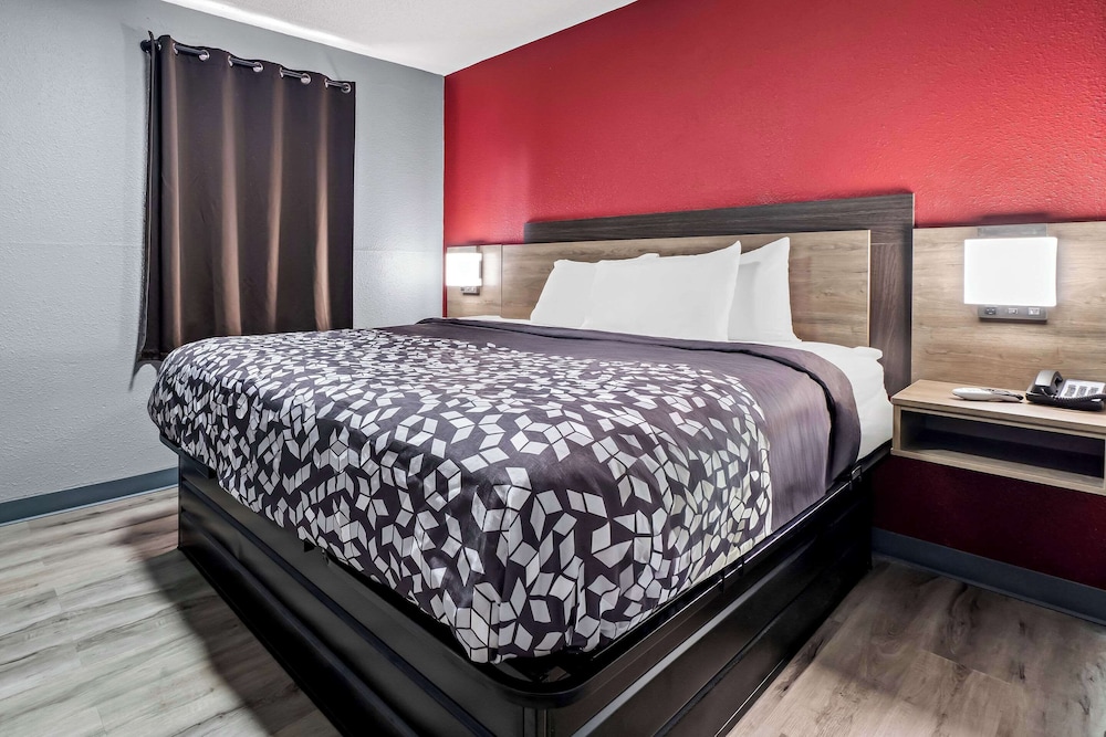 Suite, King Bed, Sofa