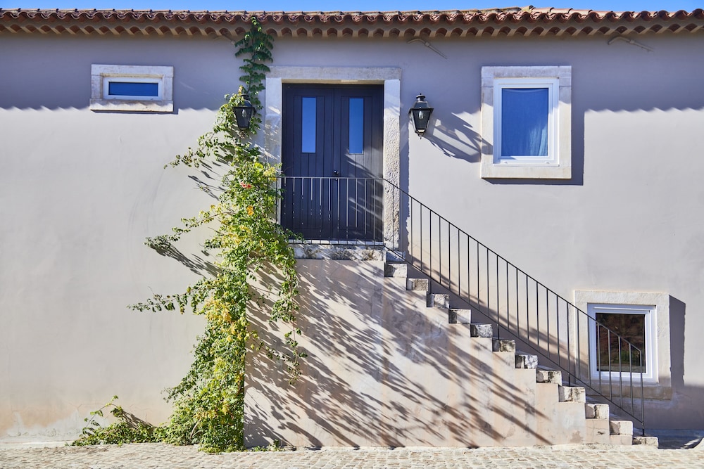 Quinta do Porto Nogueira by Romana Vini 2/50