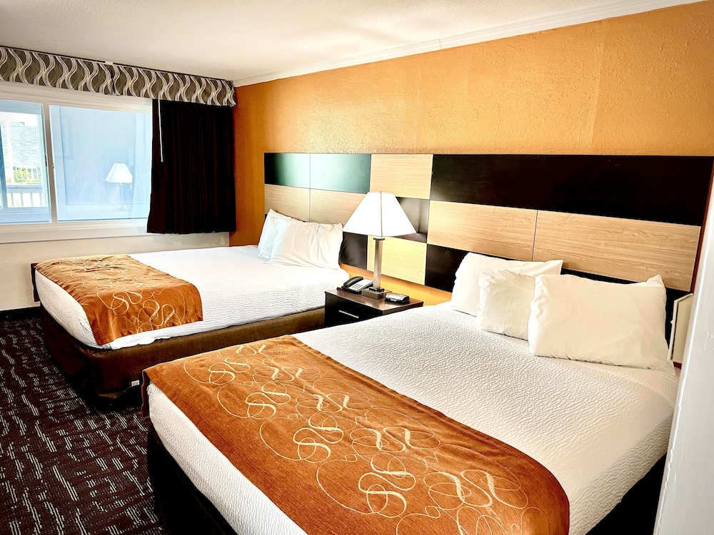 Eastern Inn 20/55