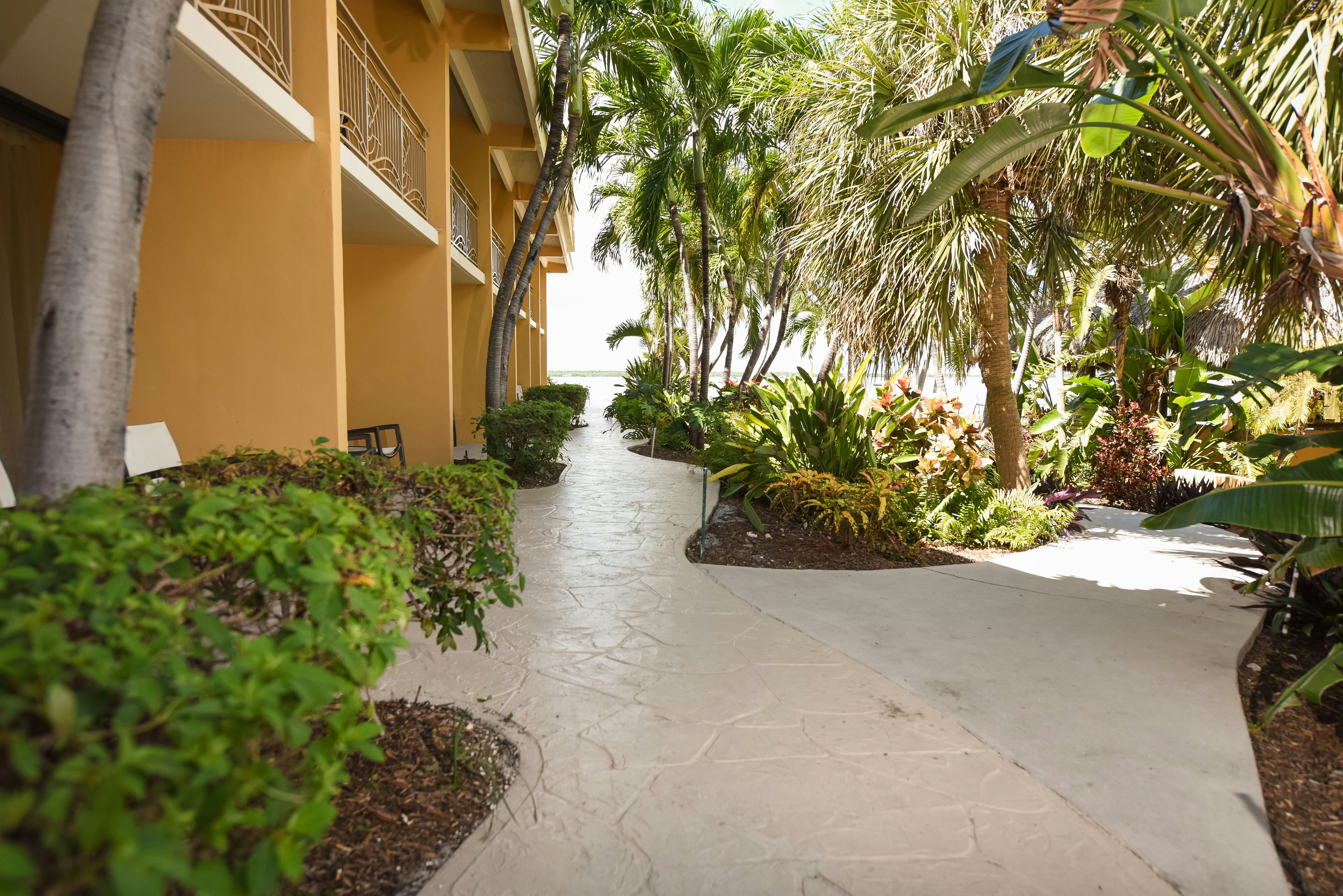 Hampton Inn Key Largo 64/67