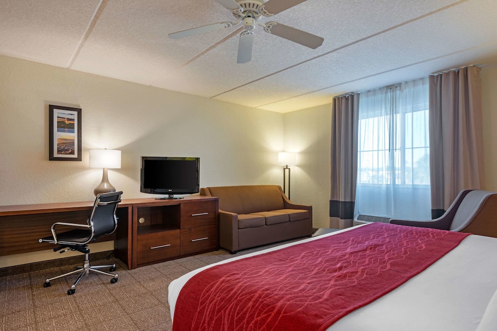 Comfort Inn Kissimmee Lake Buena Vista South 15/31
