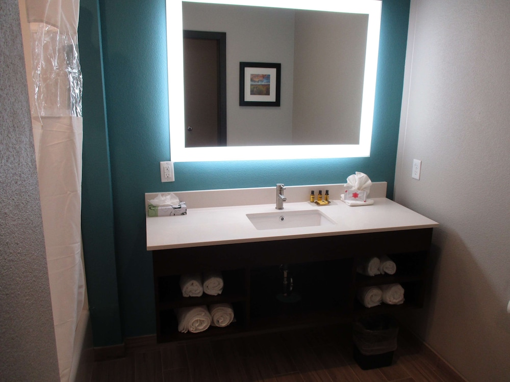 Best Western Plus Medical Center Hotel 12/37