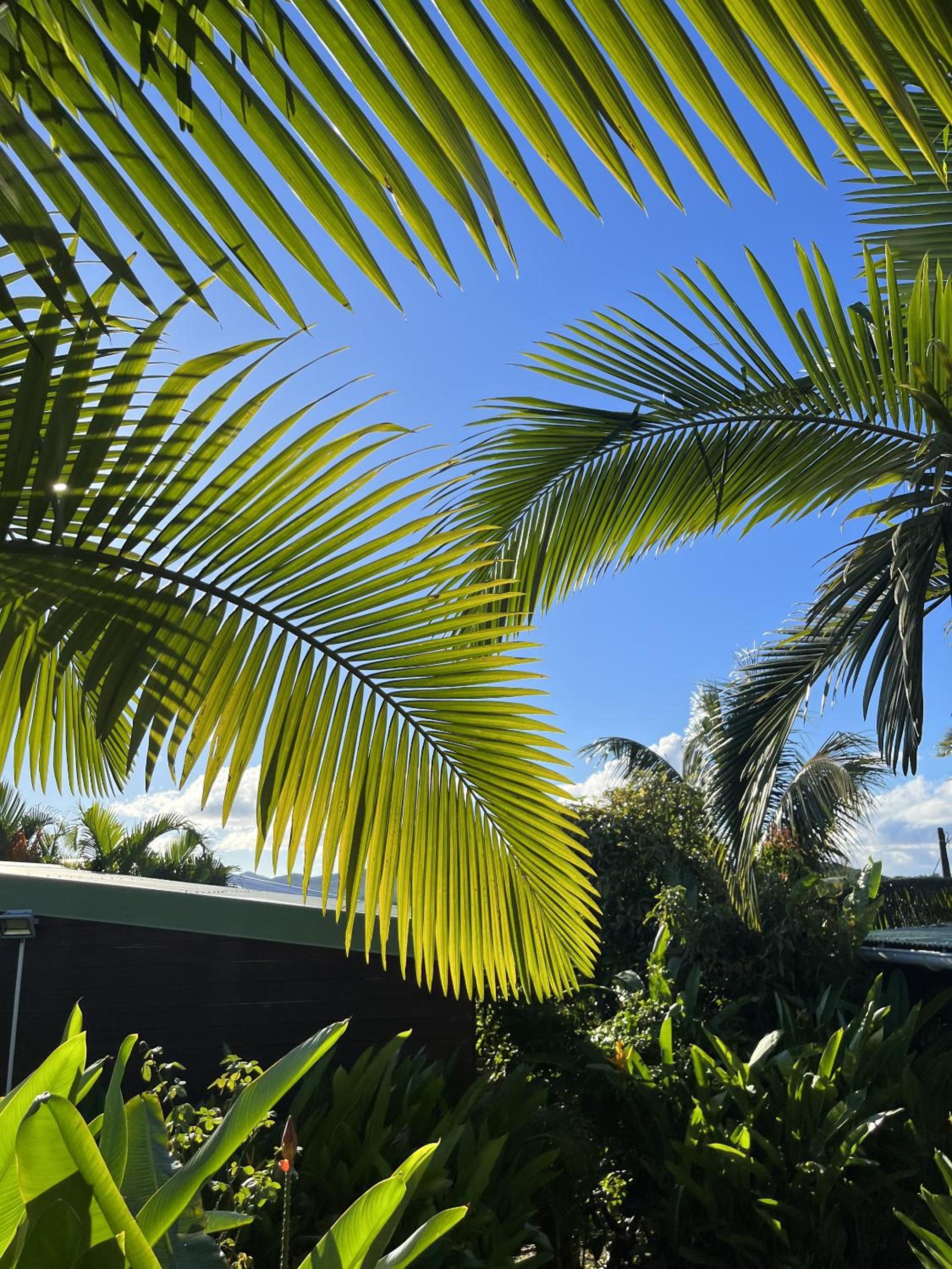 Eden Paradise Spa Ecolodge 38/52
