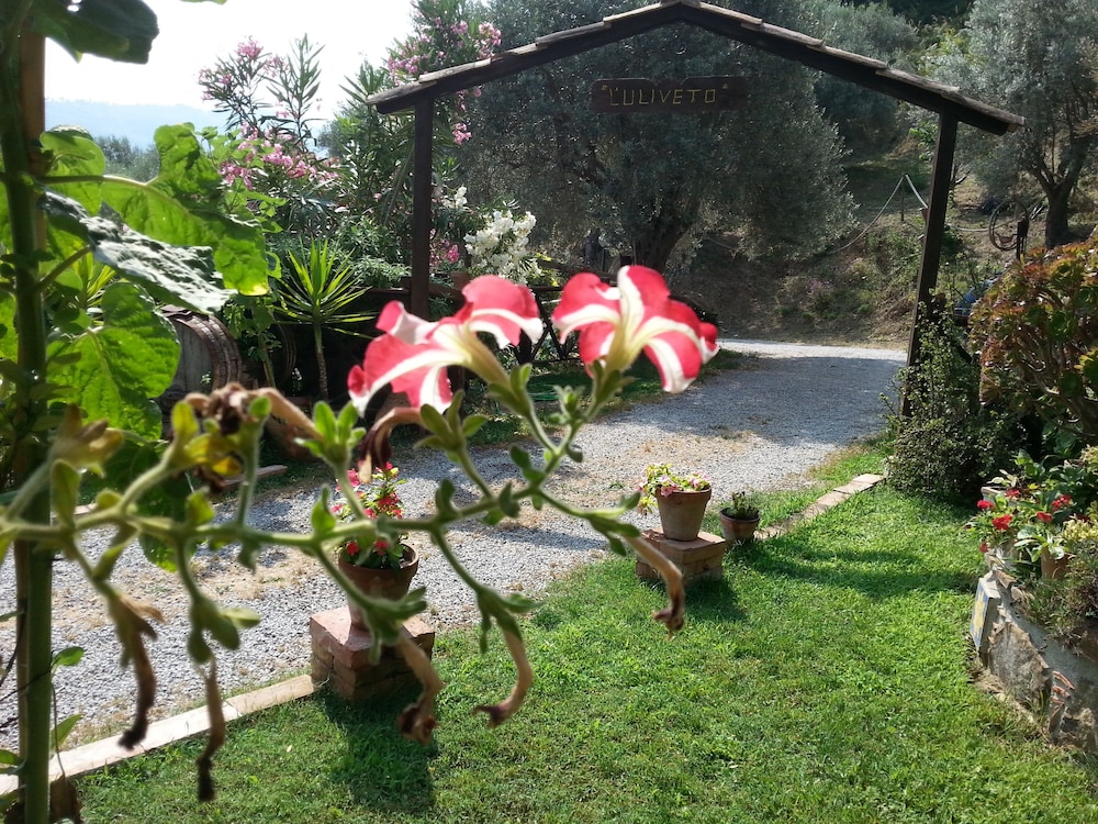 Agriturismo L'uliveto 35/50
