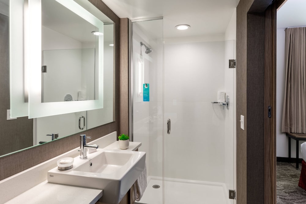 SpringHill Suites by Marriott Chattanooga South/Ringgold, GA 9/33