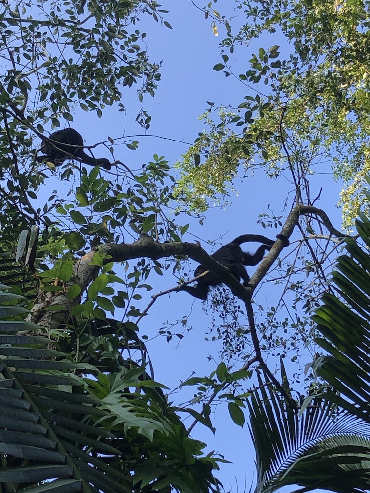 Villa Maya 62/67