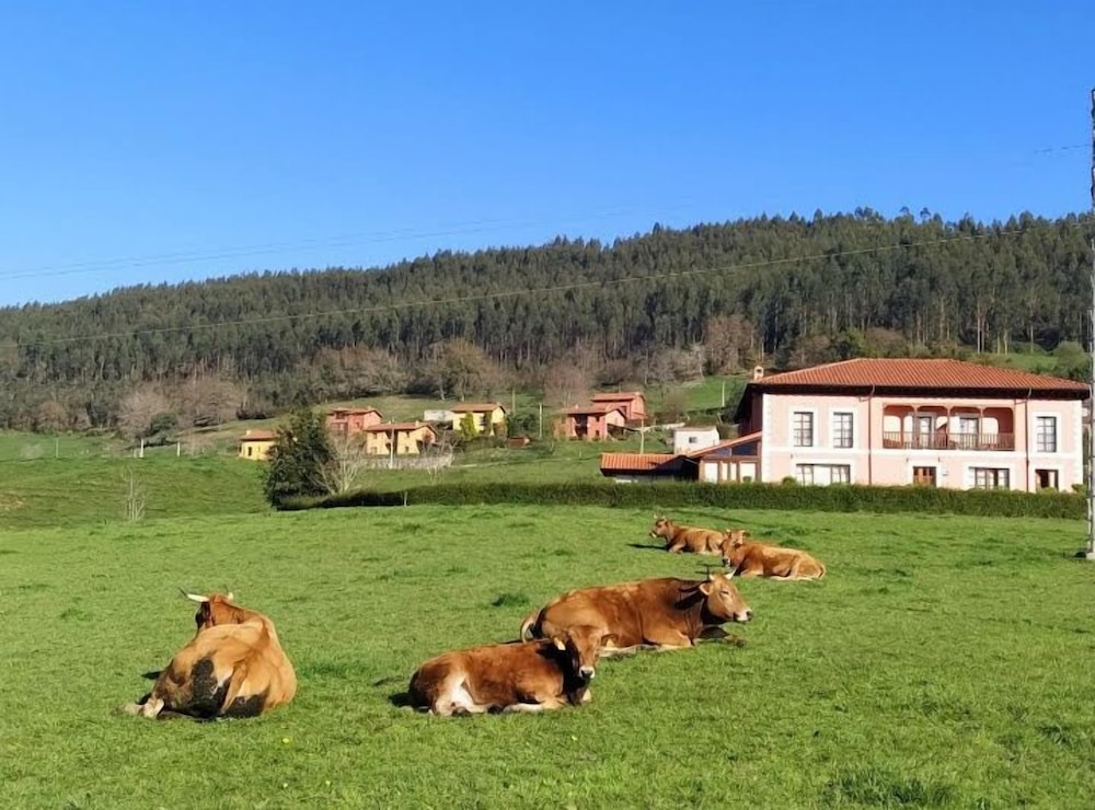 surroundings