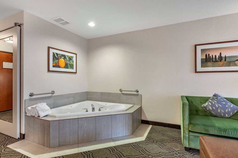 Best Western Premier Pasco Inn & Suites 8/64