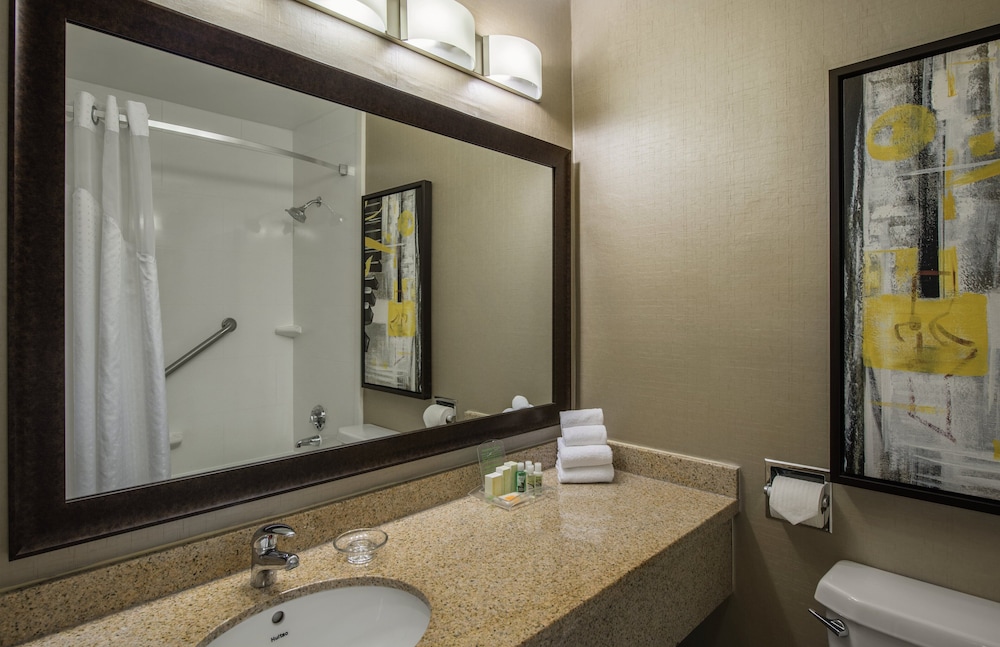 HOLIDAY INN HOTEL AND SUITES VANCOUVER DOWNTOWN 41/73