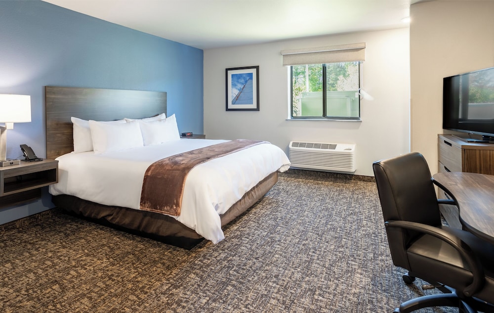 ROOM, QUEEN BED, ACCESSIBLE