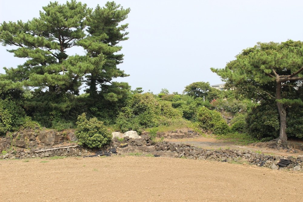 Jeju Feel House 28/50