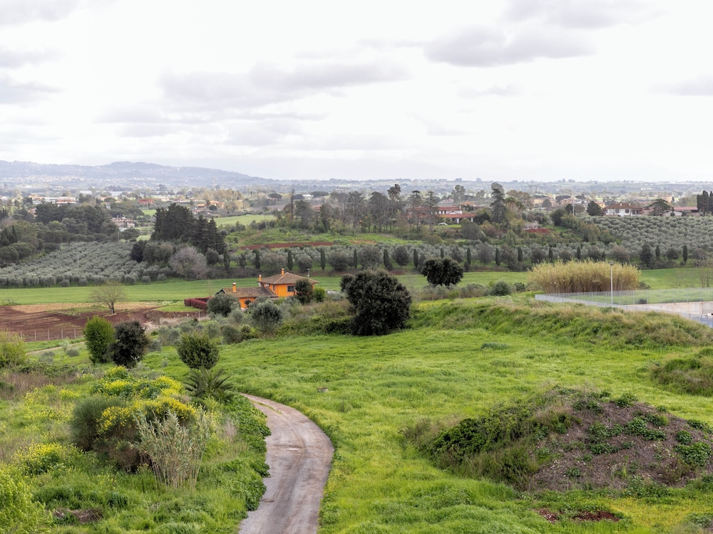 surroundings
