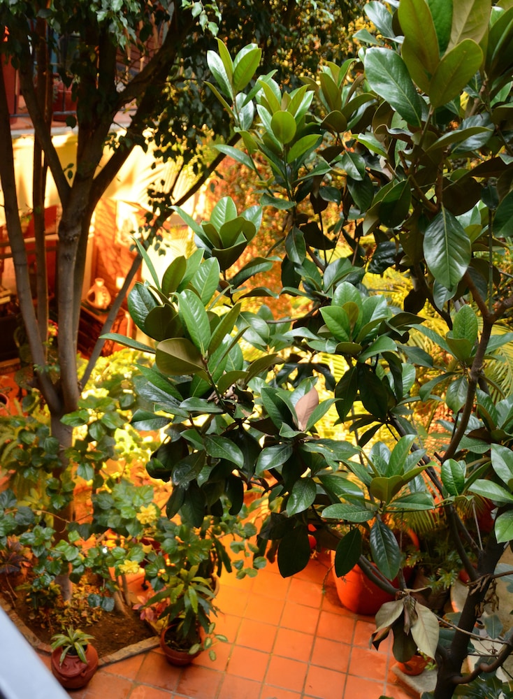 Hotel Casa Guiva 36/44