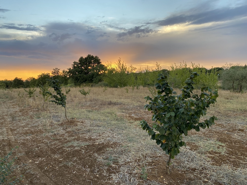 Agriturismo Podere Conte Ràcani 29/40