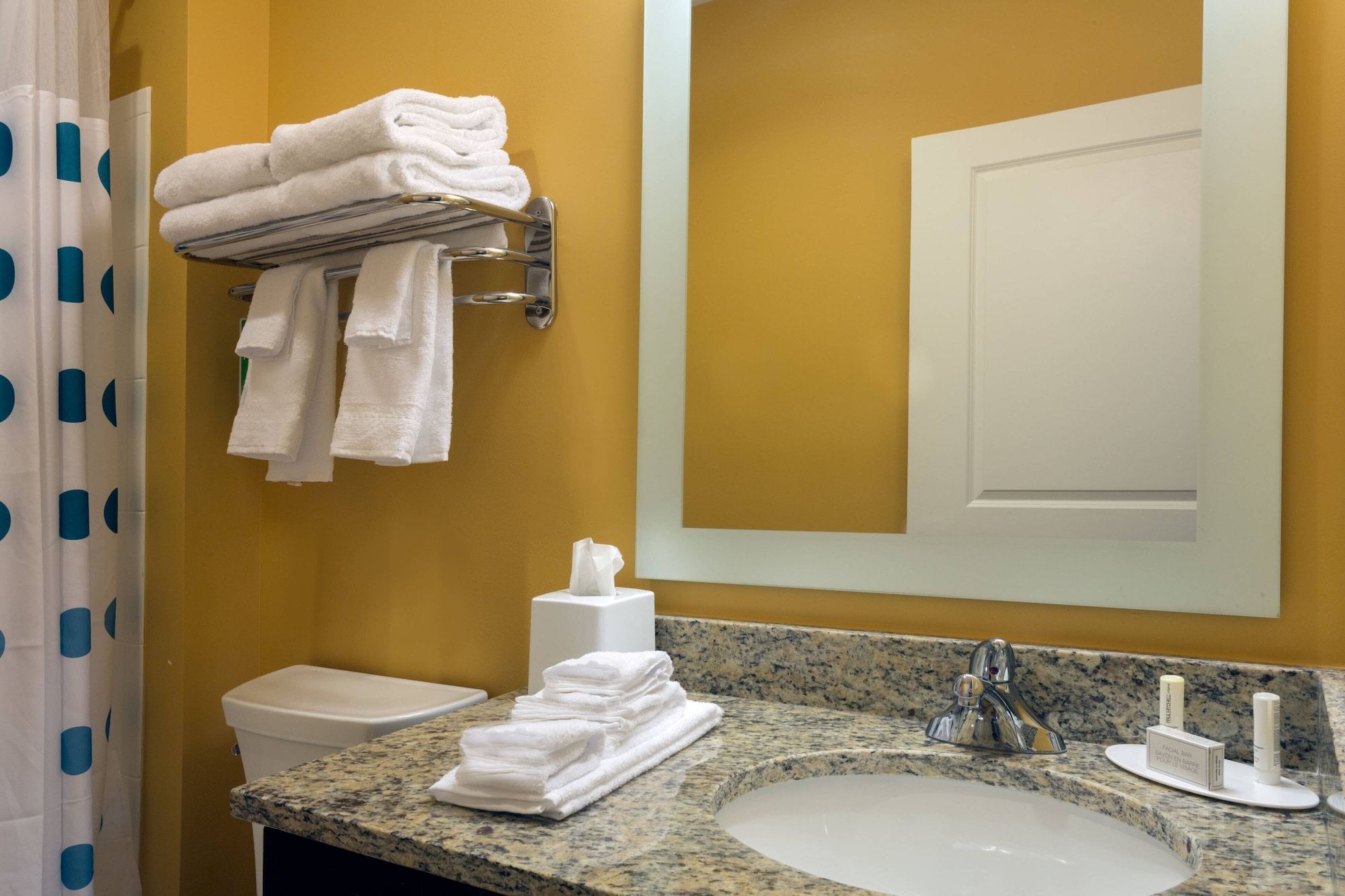 استوديو بسرير كوين مع أريكة، Towneplace Suites By Marriott Gainesville Northwest 4/4