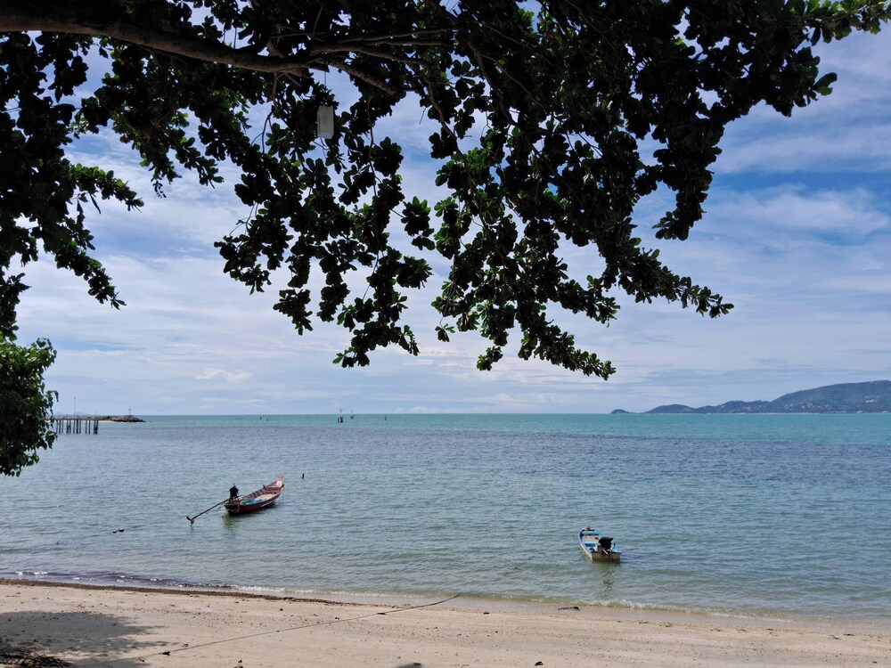 At Samui Haus 37/50