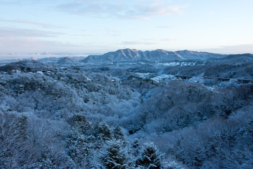 Arima Onsen Motoyu Ryuusenkaku 43/49