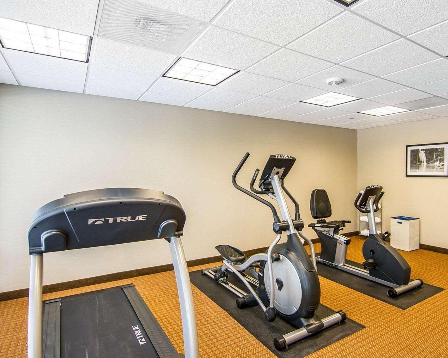 Mainstay Suites Lufkin 22/32