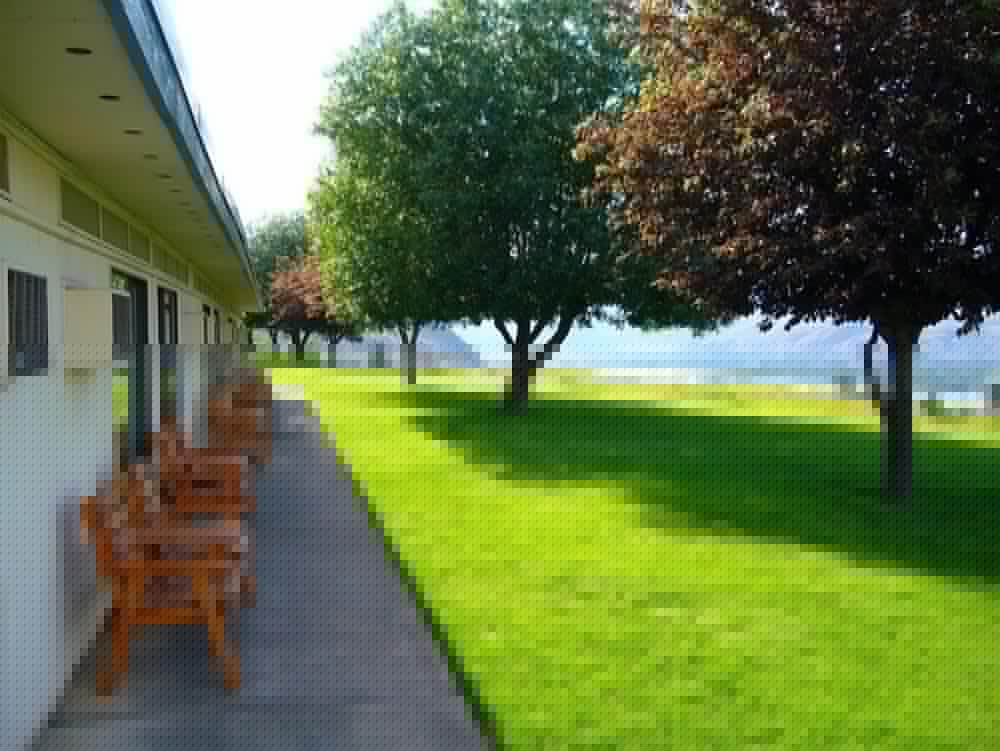 Hospitality Inn 12/55