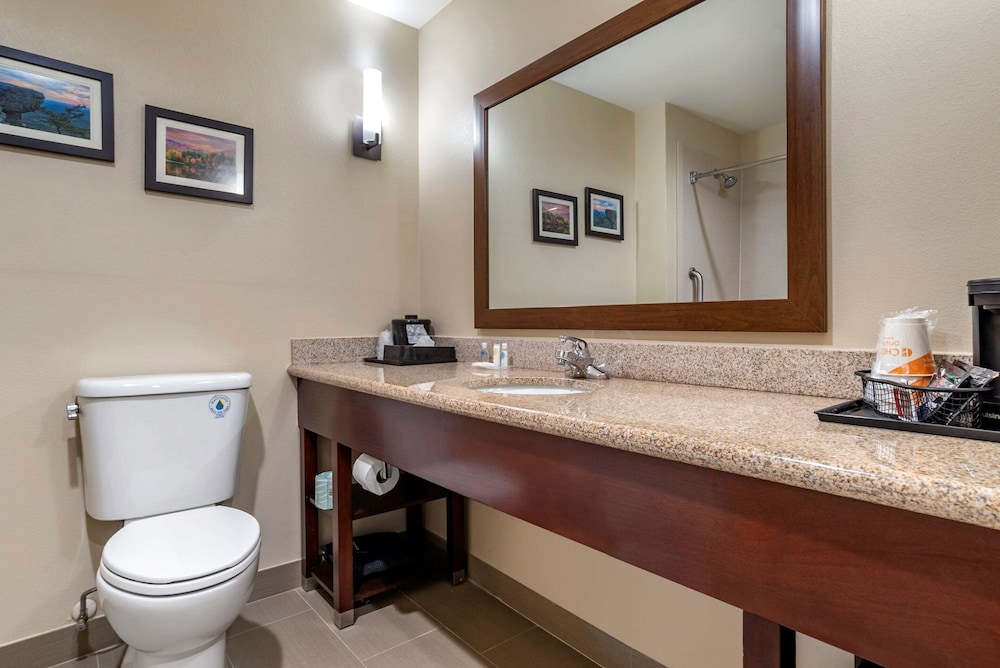 Comfort Suites Pell City near Logan Martin Lake 15/39