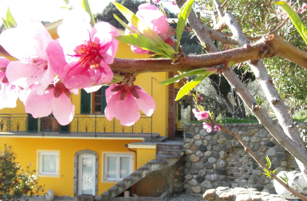 Agriturismo Costa Di Campo 36/44