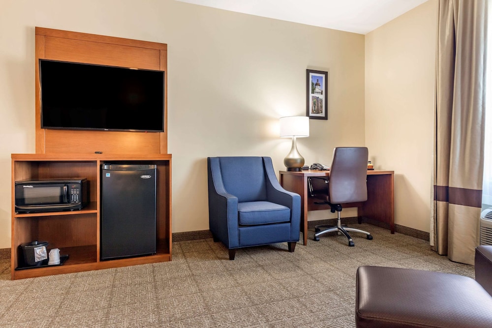 Comfort Inn & Suites Orangeburg 31/36