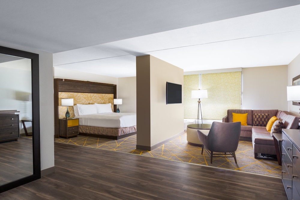 Holiday Inn La Mirada 23/54