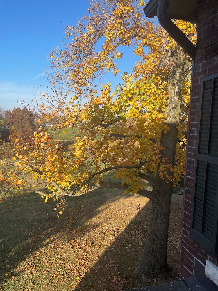 Nauvoo Grand Bed and Breakfast 48/51