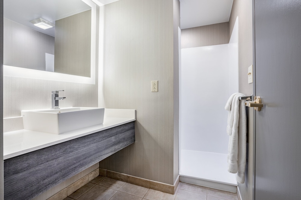 Holiday Inn Lafayette-City Centre 18/47