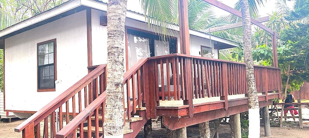 Coconut Tree West Bay 7/70