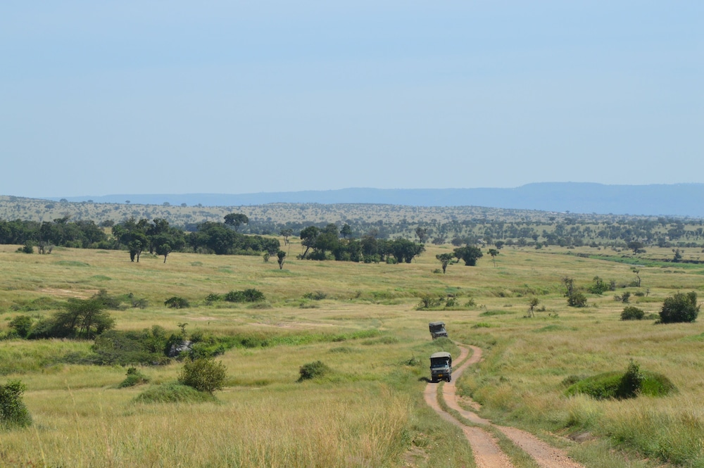 Gnu Mara River Camp 42/50