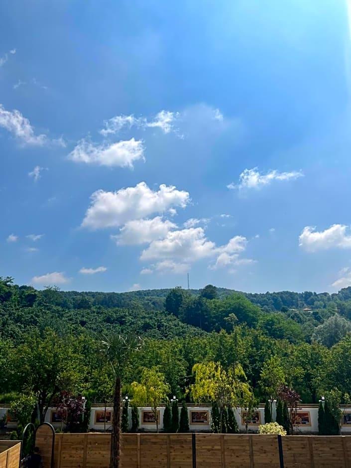 7. Sense Nature Resort 37/45