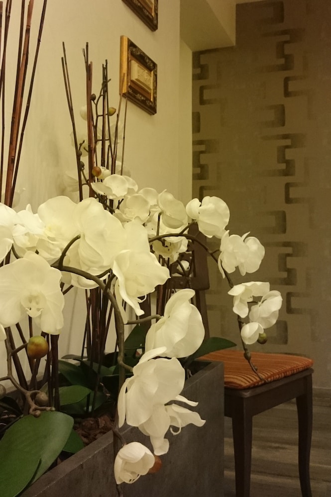 HOtello Guest Suites 24/28