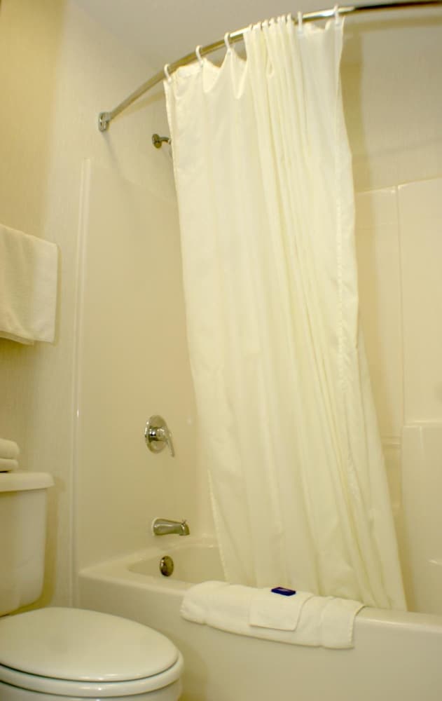 American Inn and Suites Ionia 38/47