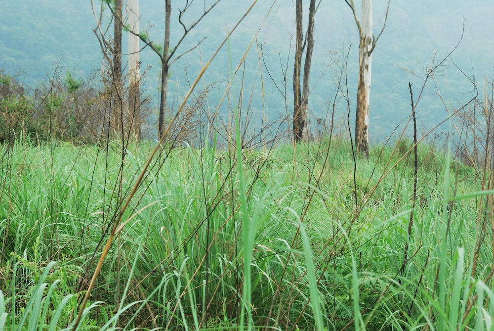 GREEN SPACES MUNNAR 40/52