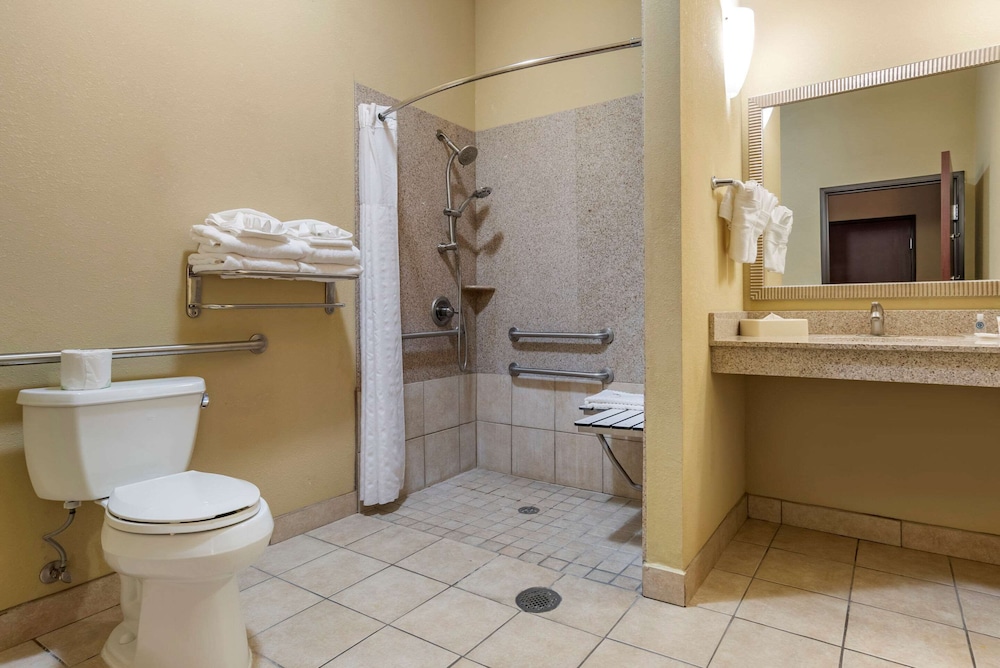 Comfort Suites Montgomery South 11/38