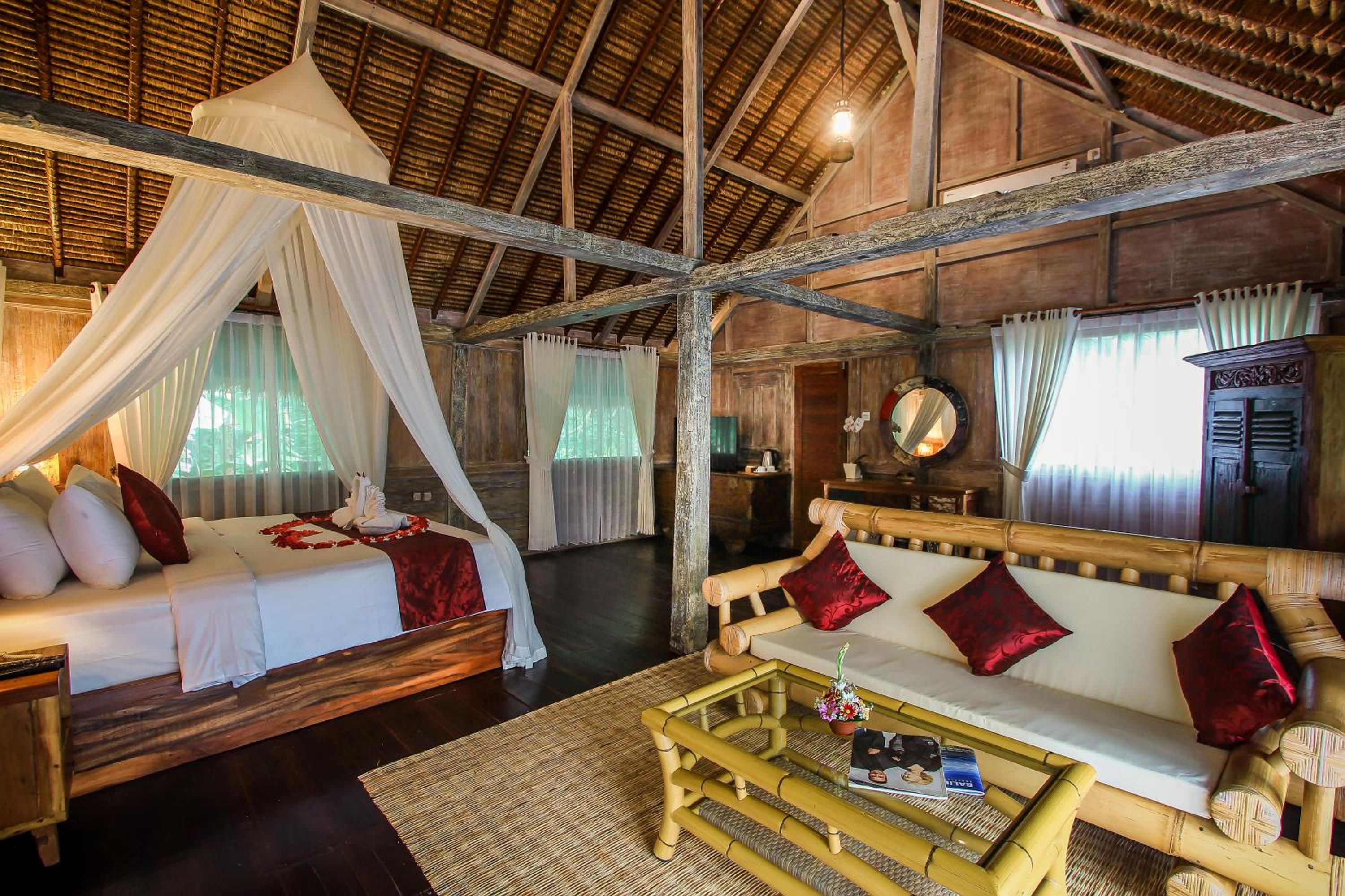 Suite, Jungle View