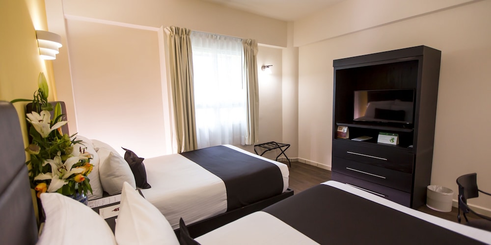 Hotel Plaza Poblana 16/67
