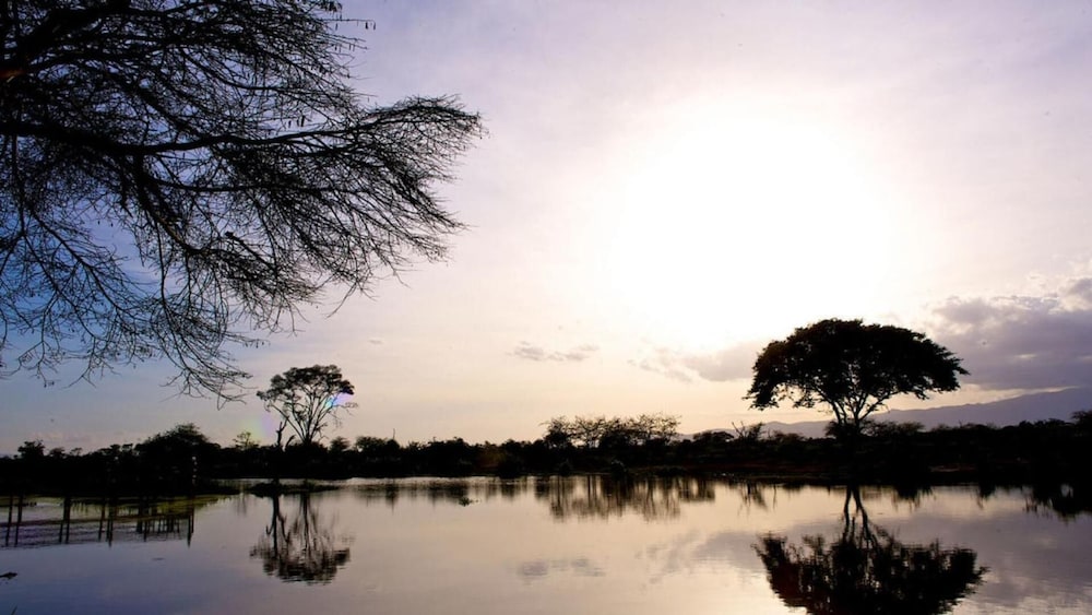 Voyager Ziwani Tented Camp 24/43