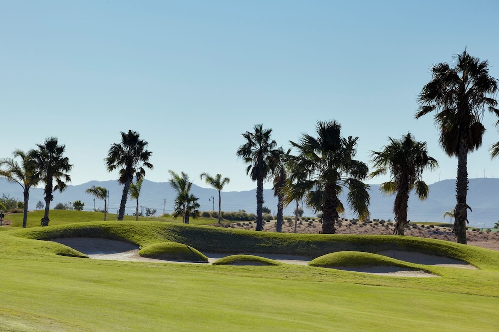 Sheraton Hacienda Del Alamo Golf And Spa Resort 26/34