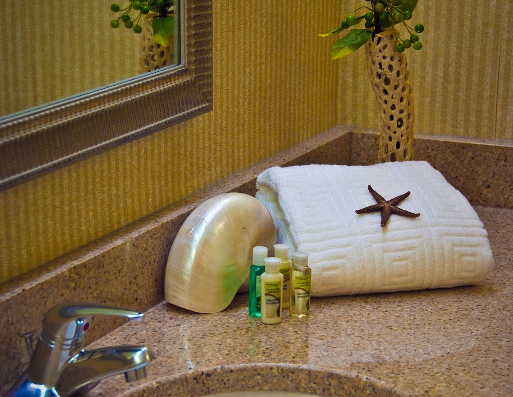Holiday Inn Arlington at Ballston, an IHG Hotel 16/50