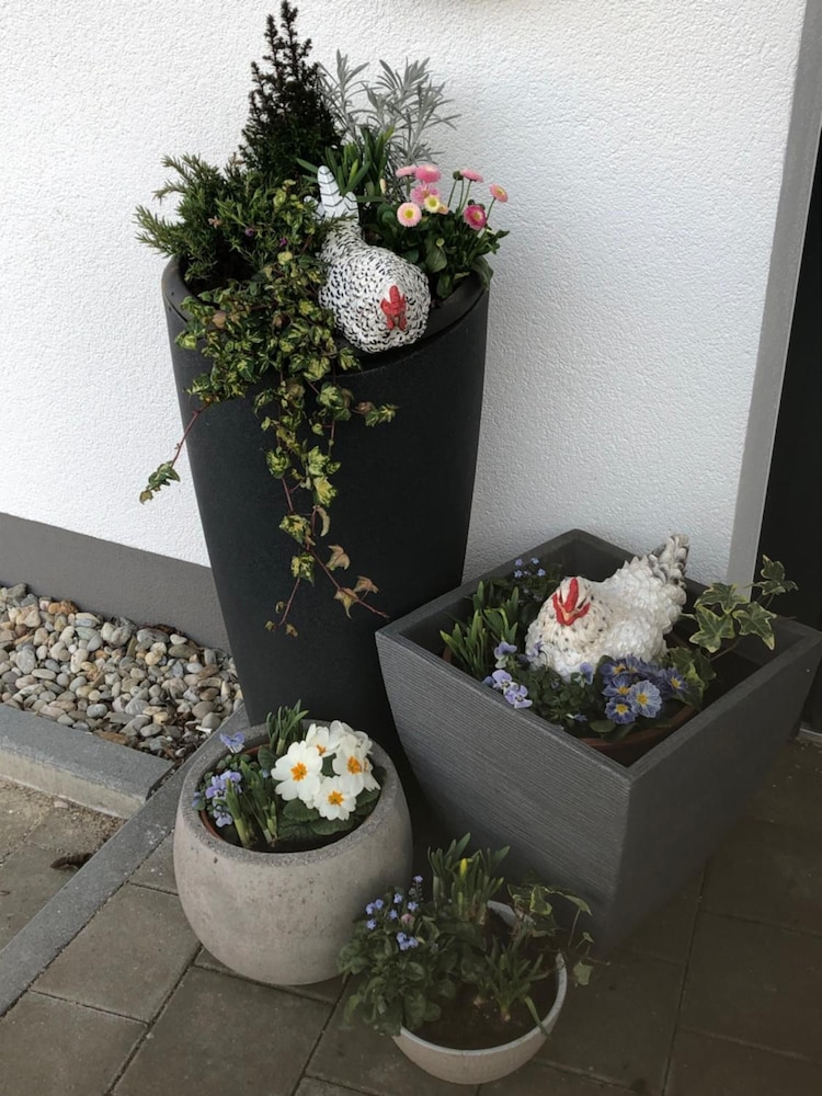 Hotel Am Moosrain 19/34